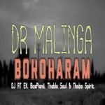 Boko Haram song to fight xenophobia