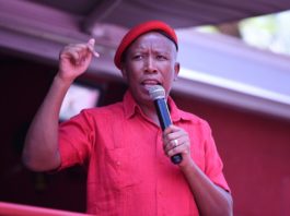 Economic Freedom Fighters leader Julius Malema