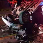 Car accident Tree
