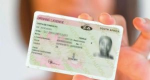 driver’s licences