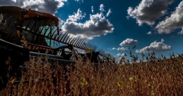 Farmers from eManzana in Mpumalanga Farmers from eManzana in Mpumalanga
