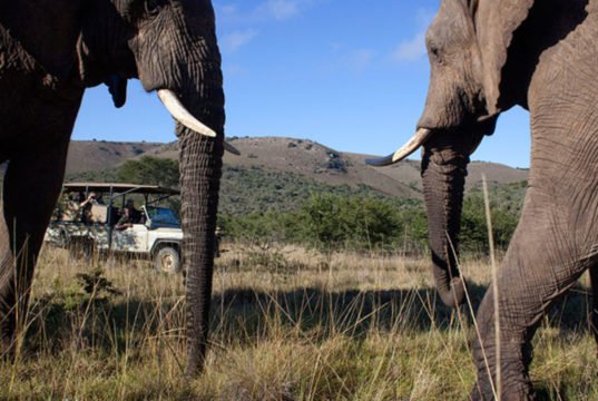 South Africa’s tourism industry