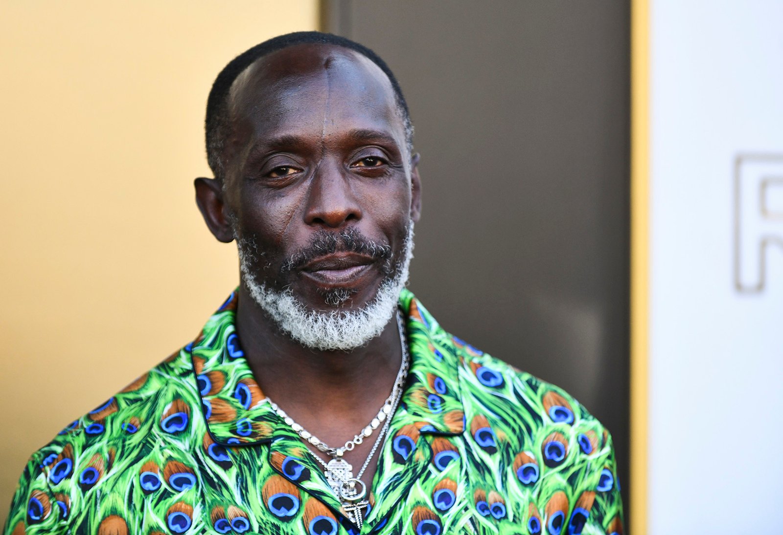 Michael K. Williams