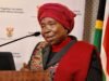 No political agenda in Dlamini-Zuma’s retirement, says Expert dlamini zuma