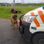 Woman injured
