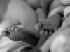 North West mom welcomes healthy set of quadruplets healthy set of quadruplets