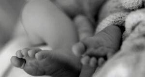 healthy set of quadruplets