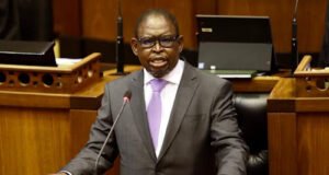 Finance Minister Godongwana