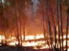Kluitjieskraal fire