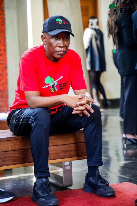 Julius Malema
