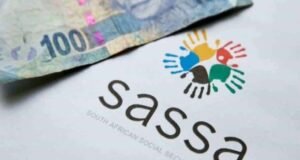 Sassa grant