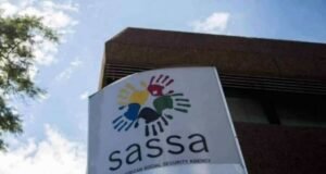 Sassa