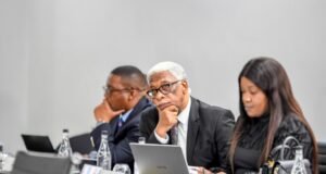 Selby Mbenenge tribunal