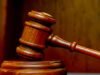 3 accused of illegal possession of Rhino horns granted bail Court hears