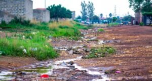 service delivery in Emfuleni