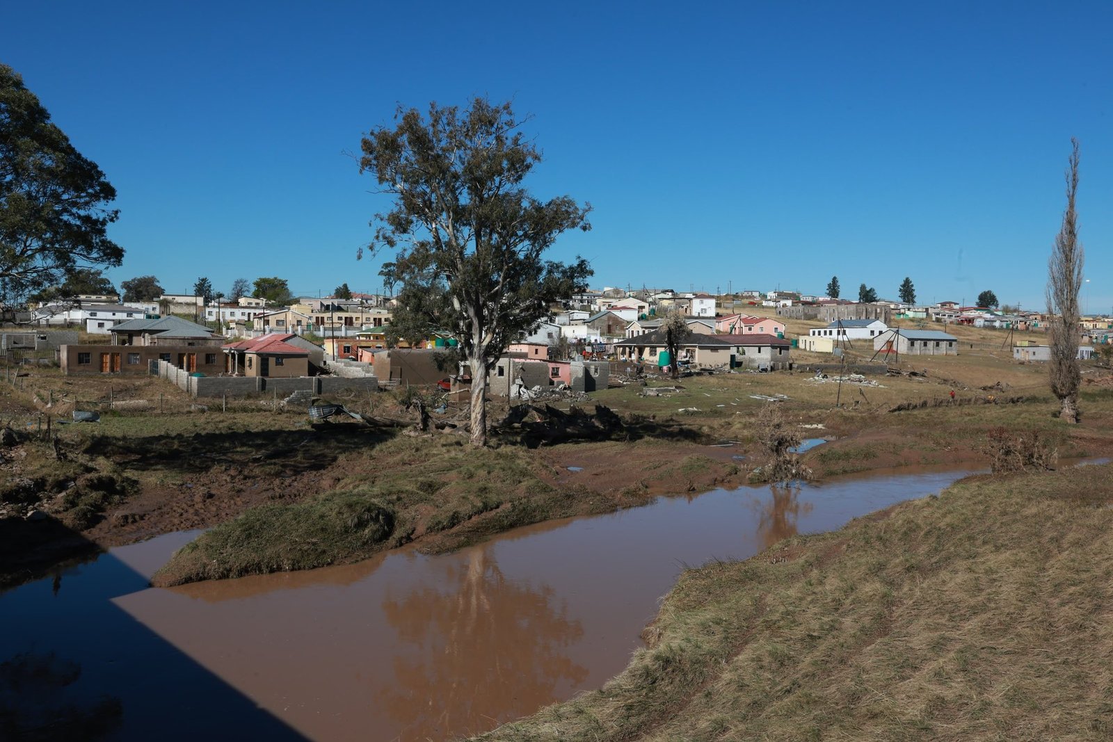 Eastern Cape families