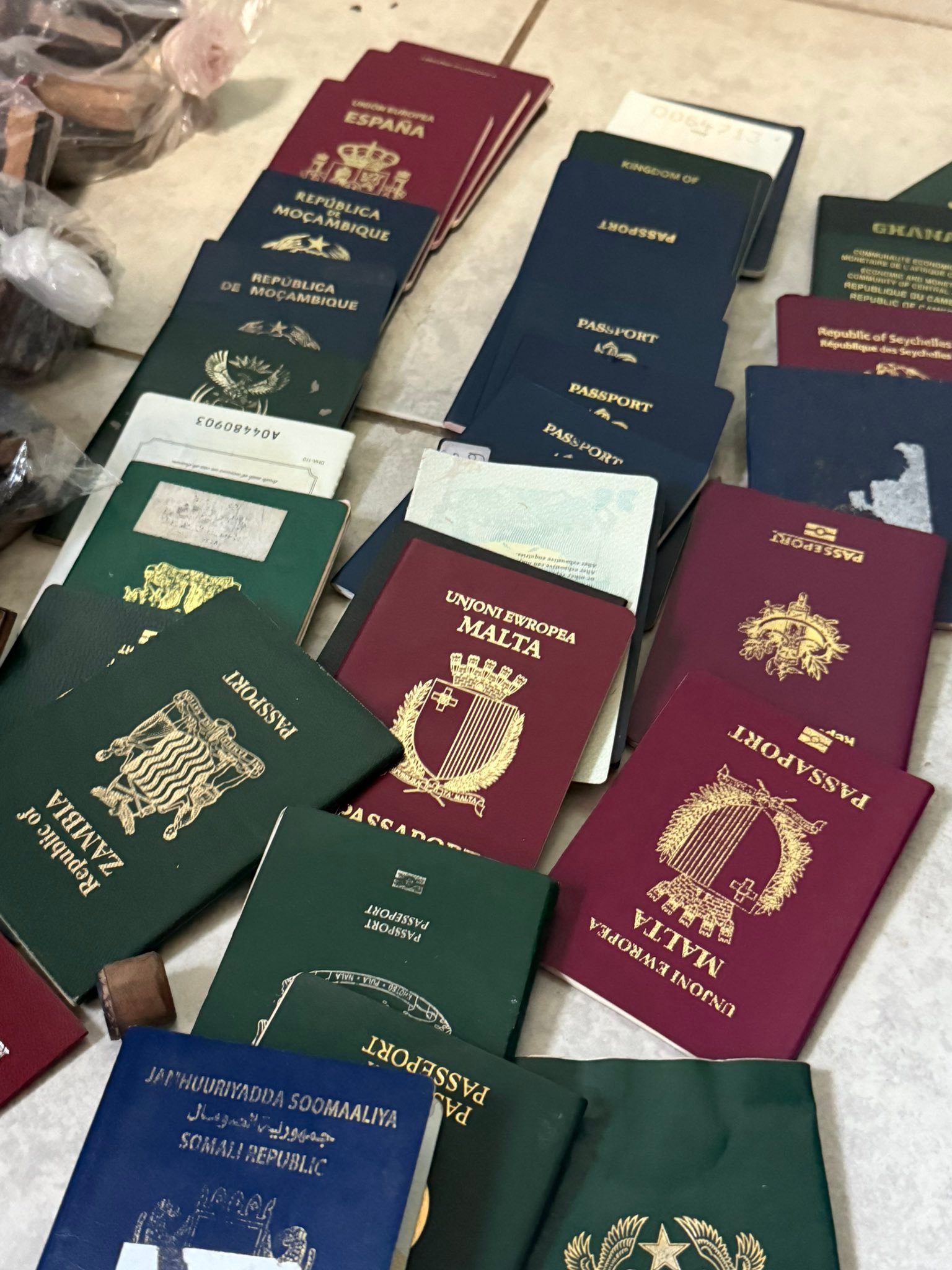 False passport syndicate