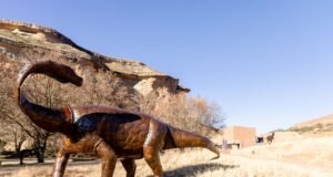 Kgodumodumo Dinosaur Interpretation Centre