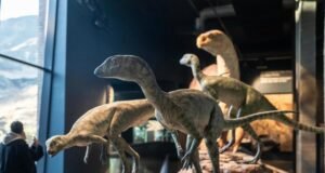 Kgodumodumo Dinosaur Interpretation Centre