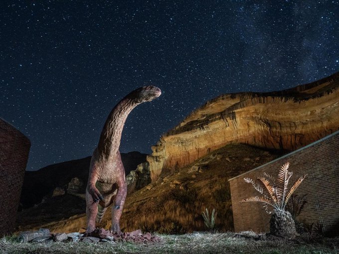 Kgodumodumo Dinosaur