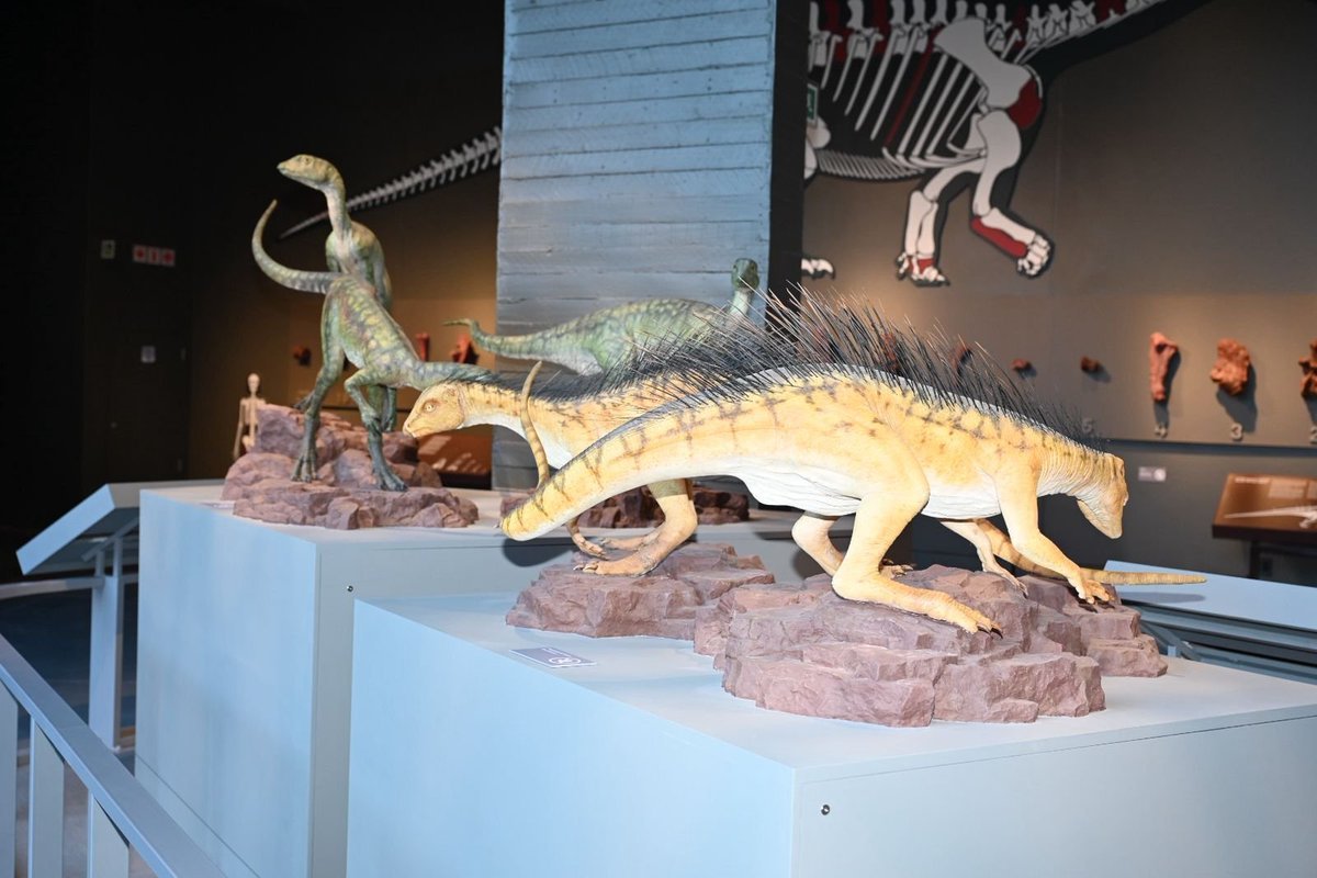 Kgodumodumo Dinosaur Interpretation Centre