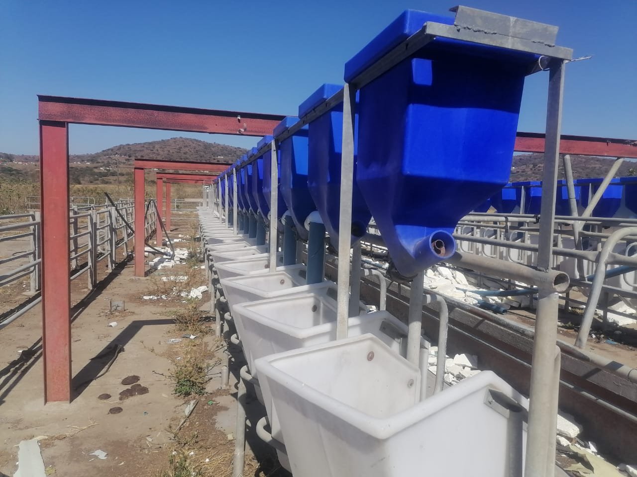 Mantusini Dairy Farm