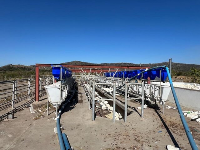 Mantusini Dairy Farm