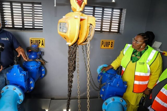 Pemmy Majodina unveils