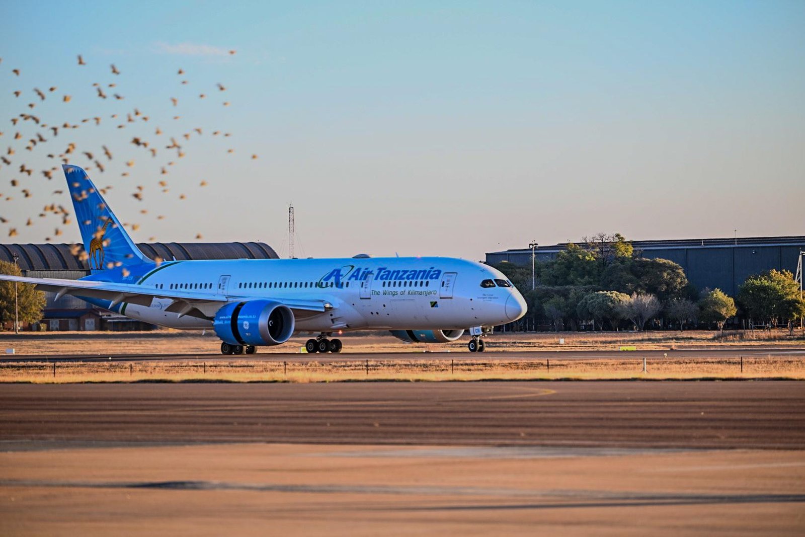 SANDF soldiers back in SA