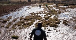 Search and rescue teams in Mthatha