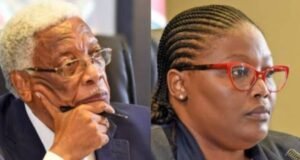 Tribunal investigating allegations