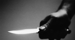 Woman fatally stabbed