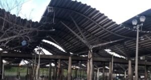 Western Cape SANTACO