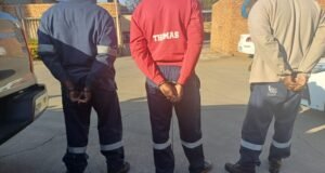 municipal workers arrested