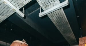 Ciza sparks buzz after linking up with Tyla in London