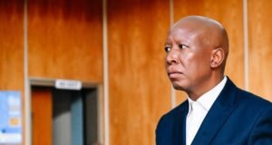 Closing arguments due in Julius Malema's firearm discharge case