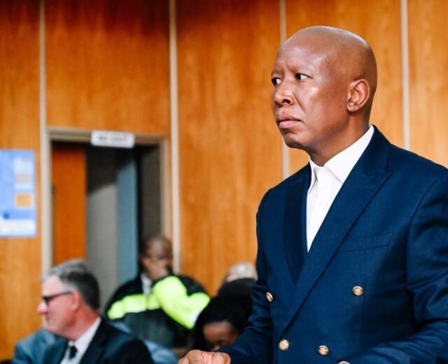 Closing arguments due in Julius Malema's firearm discharge case Closing arguments due in Julius Malema's firearm discharge case