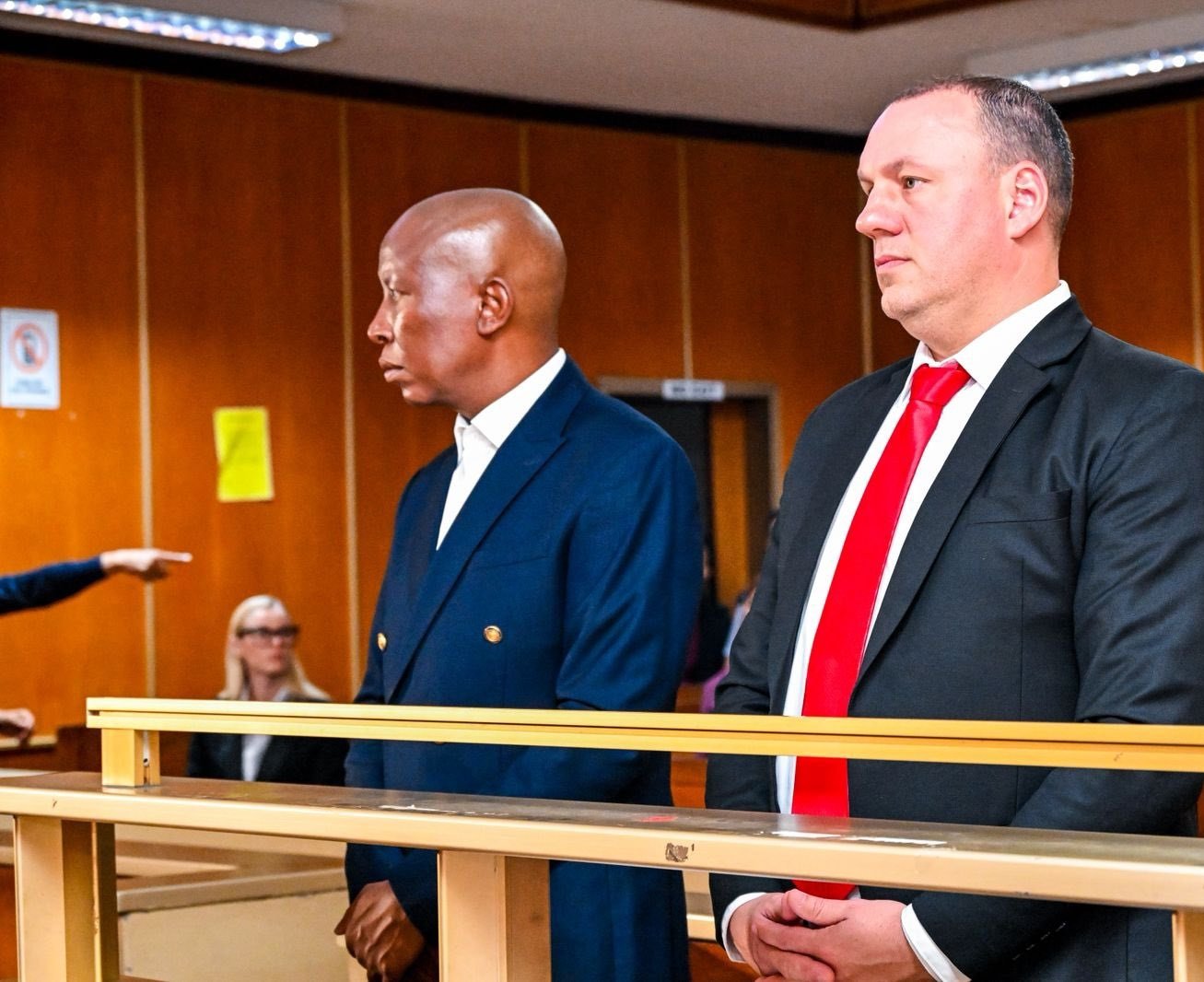 Julius Malema's firearm