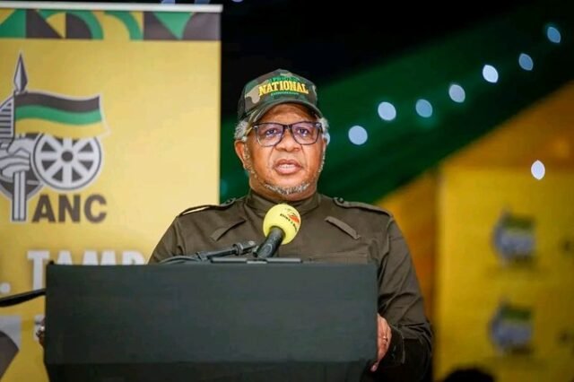 Fikile Mbalula