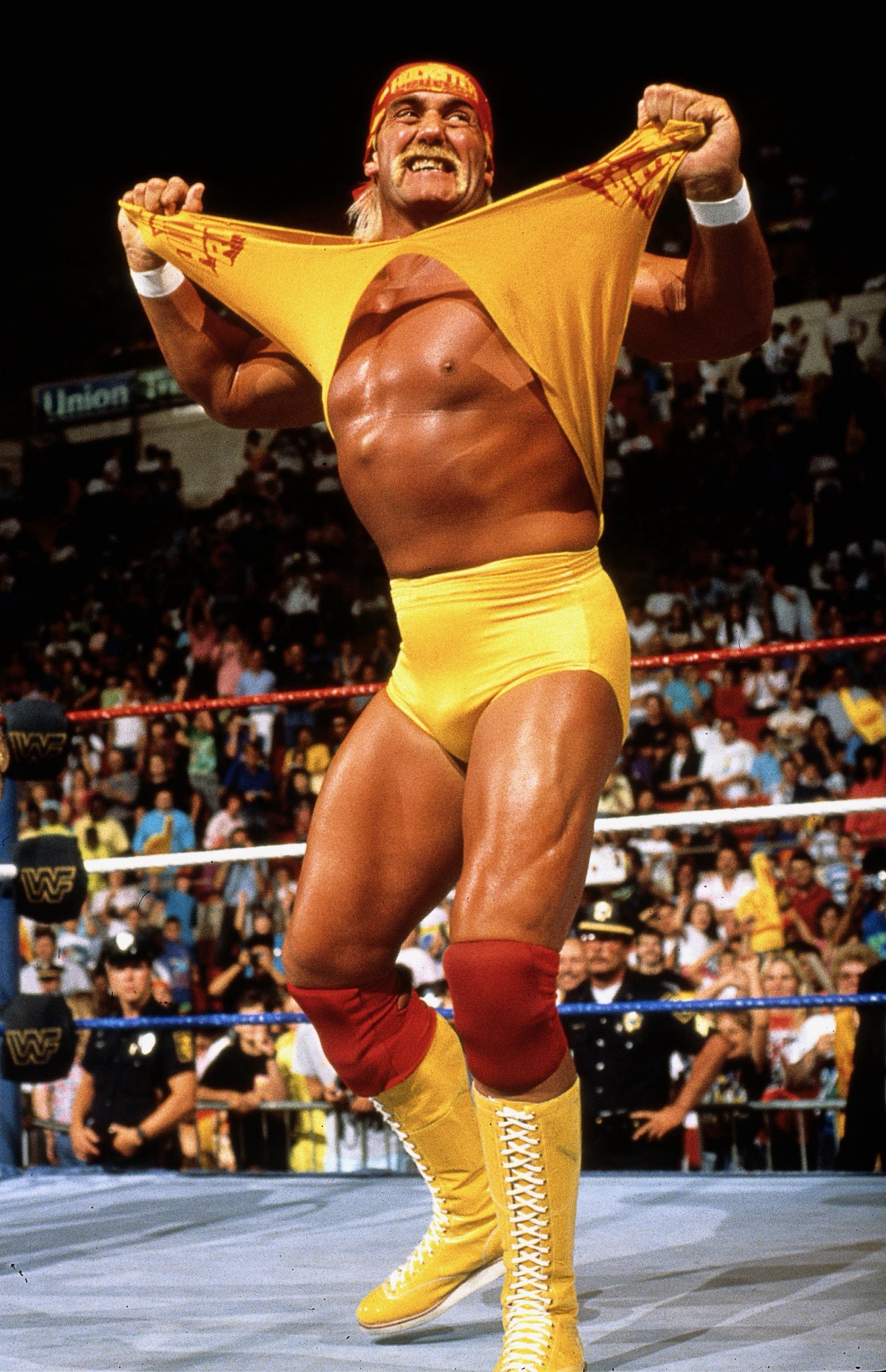 Hulk Hogan