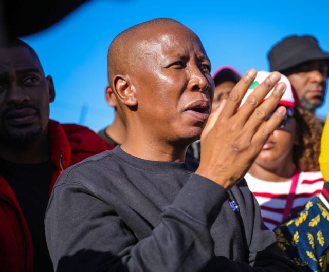 Julius Malema2 Julius Malema