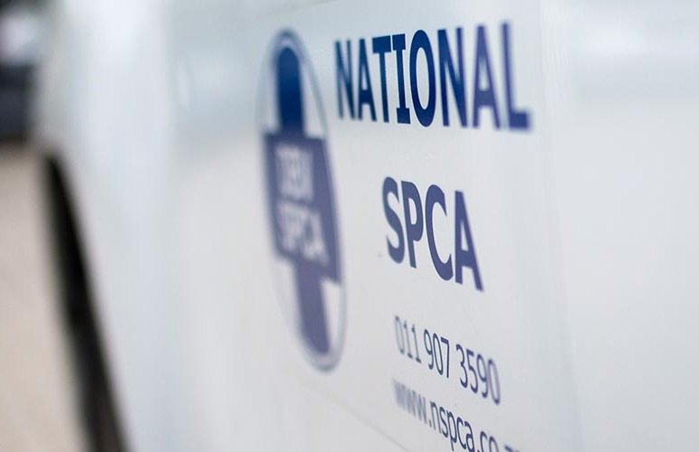 NSPCA 