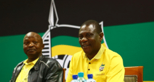 Paul Mashatile and David Mabuza