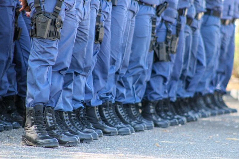 SAPS inquiry team