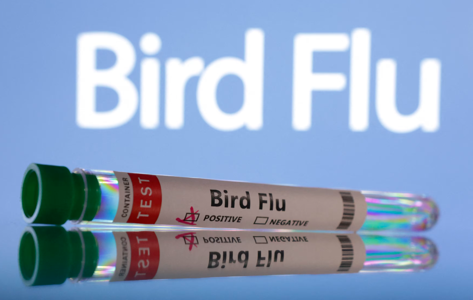 bird flu vaccinations