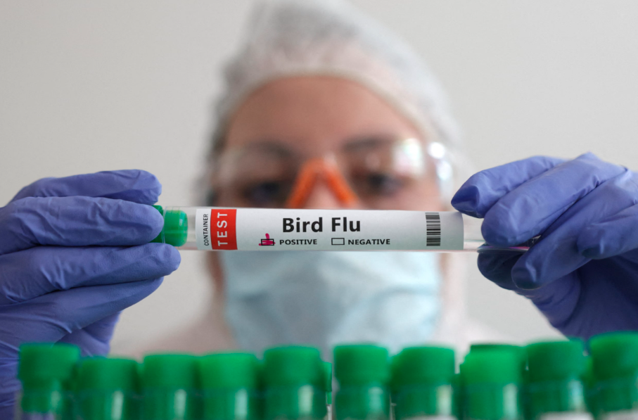 bird flu vaccinations