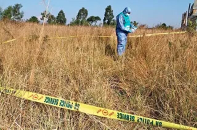 farm crime scene2 farm crime scene