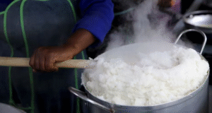 school nutrition tender