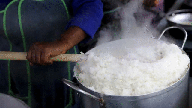 school nutrition tender