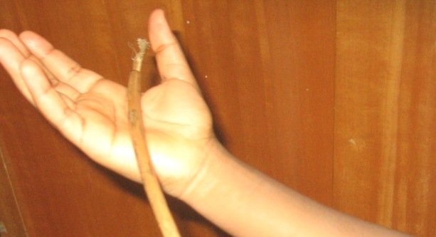 School principal suspended